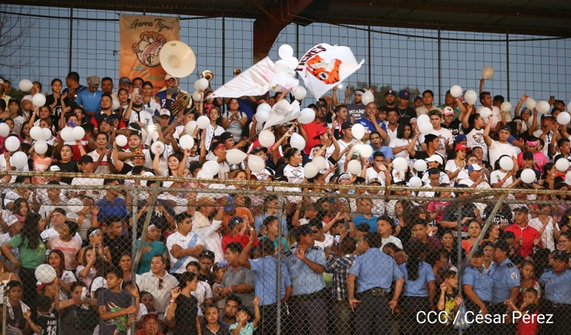 TIGRES1